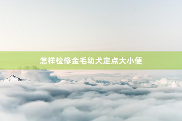怎样检修金毛幼犬定点大小便
